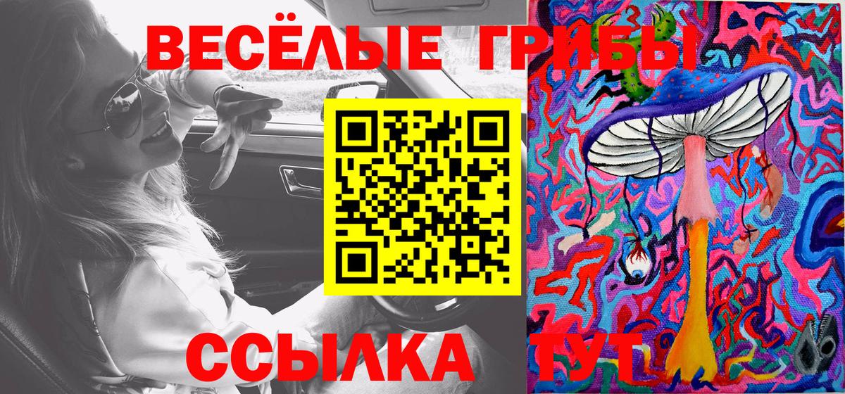 Галлюциногенные грибы мухоморы  Вход с VPN  Гурьевск 